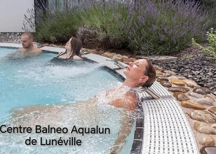 Nid Douillet Aux Portes De Nancy *